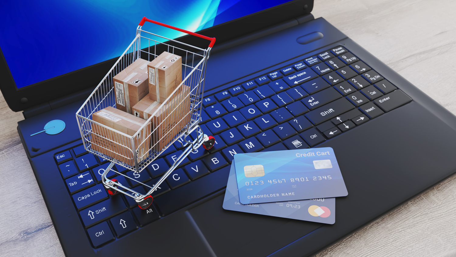 e-commerce. buying goods over the Internet. global network. digital store